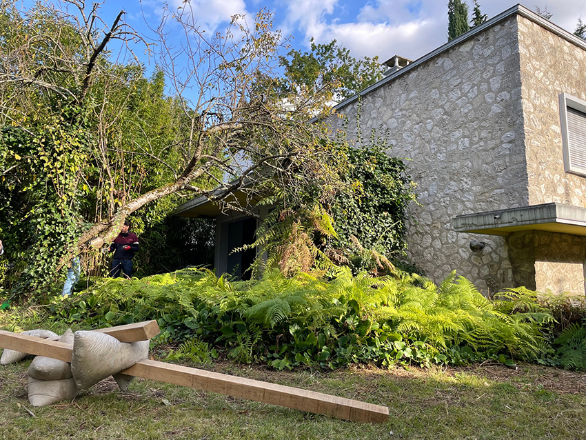 Image 4 nature borders