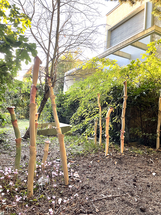 Image 6 nature borders