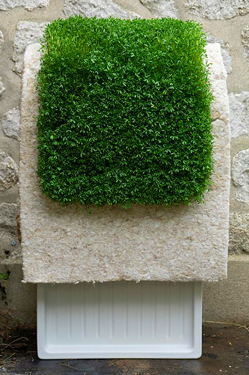 Image 2 nature borders