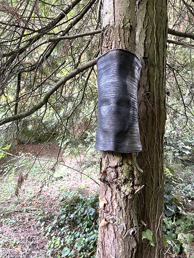 Image 3 nature borders